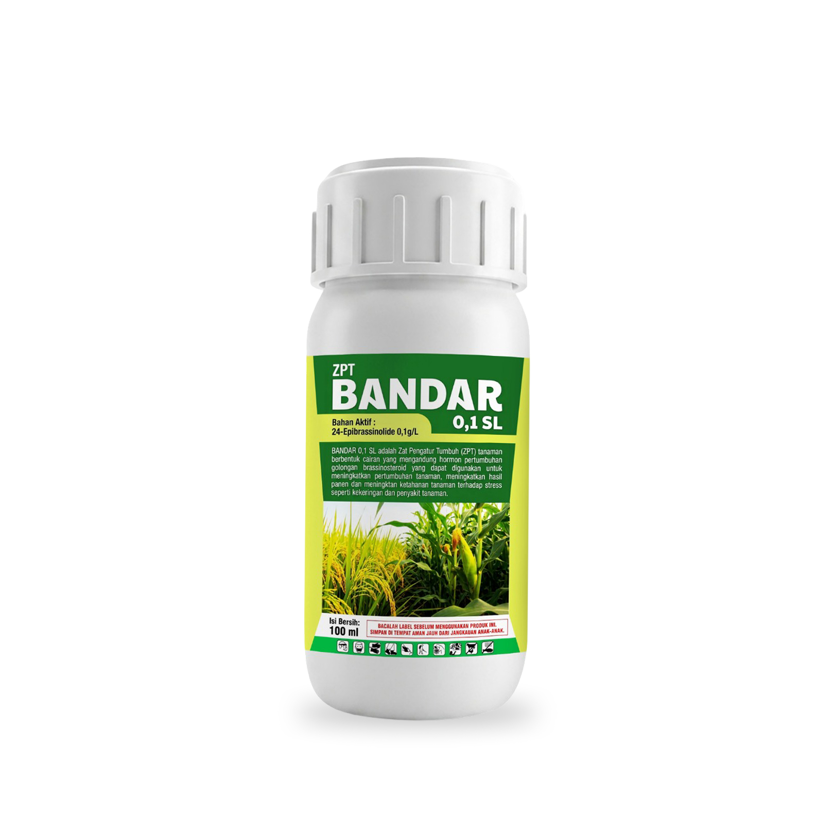 Bandar