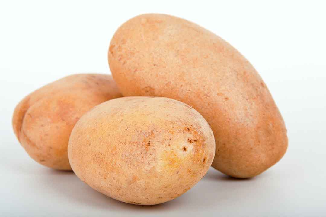 gambar kentang