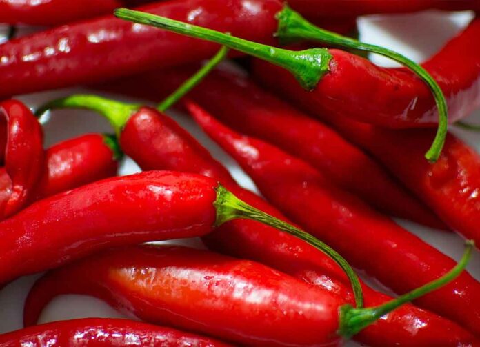 cabai merah