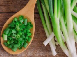 bawang daun prei