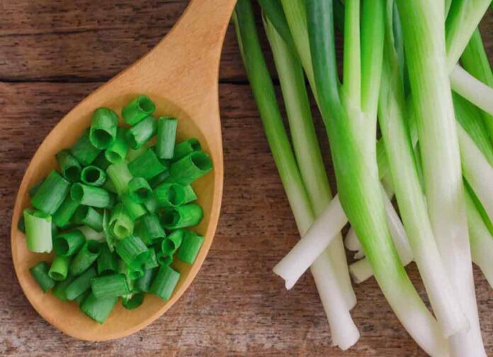 bawang daun prei