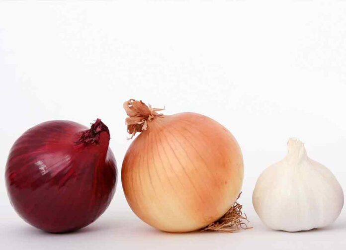 bawang merah dan putih jos