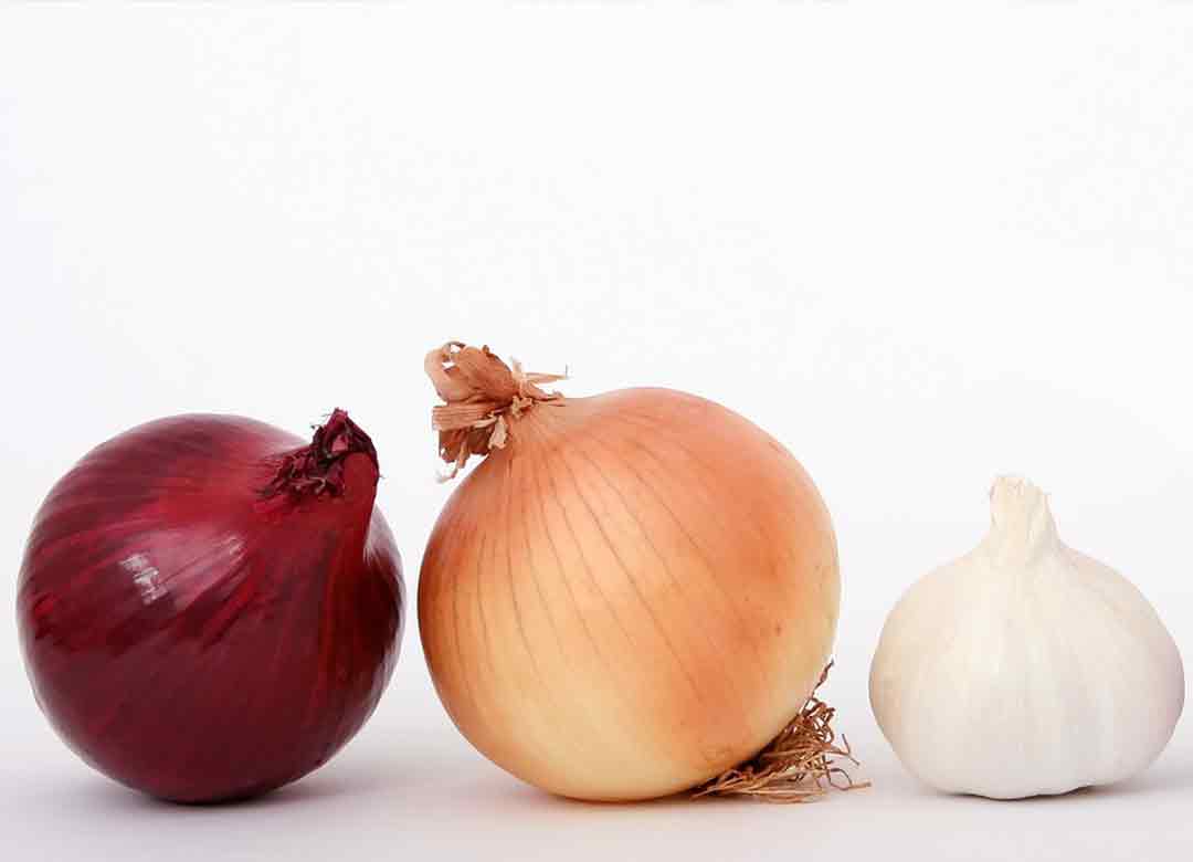 bawang merah dan putih jos