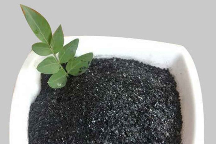 asam humat humic acid